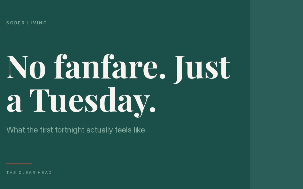 Illustration reading 'no fanfare, just a Tuesday' for The Clear Head article on the first fortnight after stopping drinking